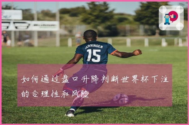 如何通过盘口升降判断世界杯下注的合理性和风险