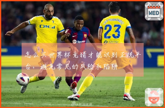 怎么买世界杯竞猜才能识别正规平台，避免常见的风险和陷阱