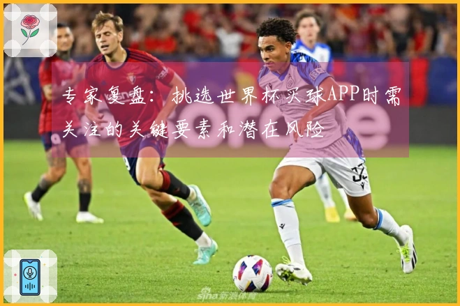 专家复盘：挑选世界杯买球APP时需关注的关键要素和潜在风险