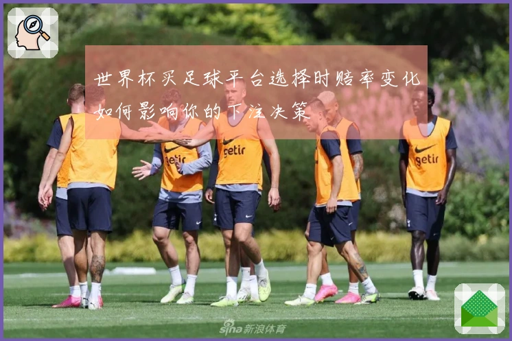 世界杯买足球平台选择时赔率变化如何影响你的下注决策