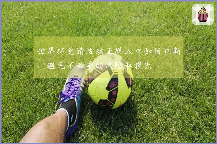 世界杯竞猜活动正规入口如何判断，避免不必要的风险和损失