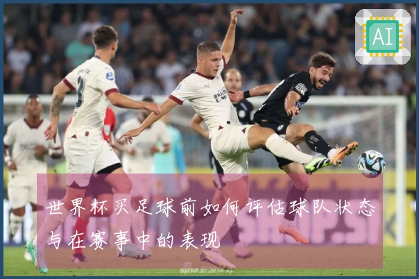 世界杯买足球前如何评估球队状态与在赛事中的表现