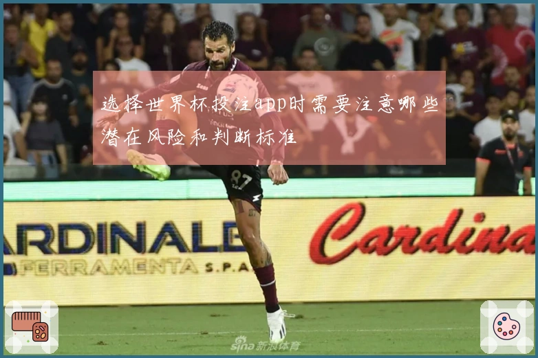 选择世界杯投注app时需要注意哪些潜在风险和判断标准