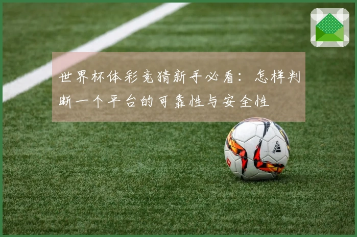 世界杯体彩竞猜新手必看：怎样判断一个平台的可靠性与安全性