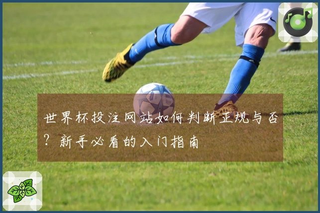 世界杯投注网站如何判断正规与否？新手必看的入门指南