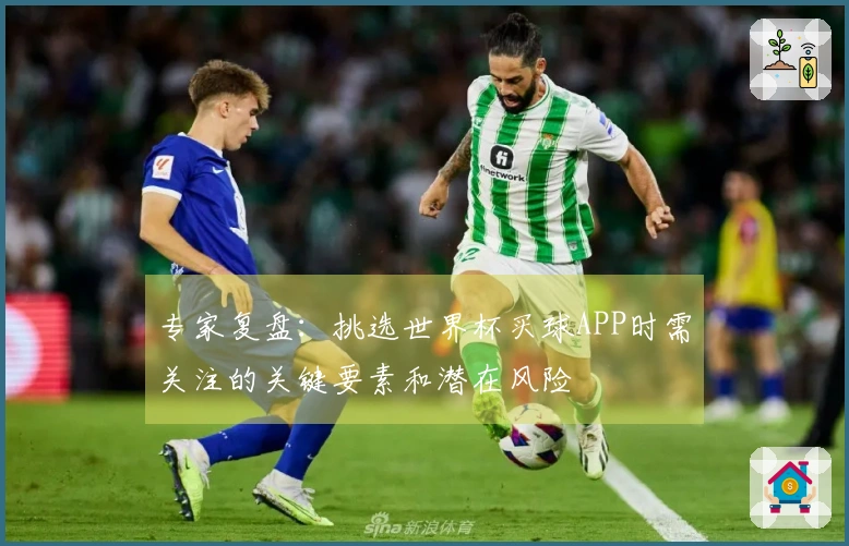 专家复盘：挑选世界杯买球APP时需关注的关键要素和潜在风险