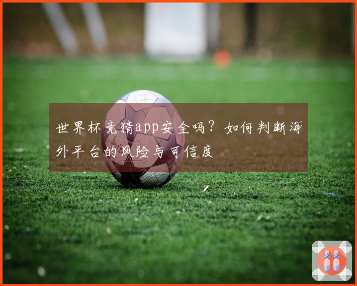 世界杯竞猜app安全吗？如何判断海外平台的风险与可信度