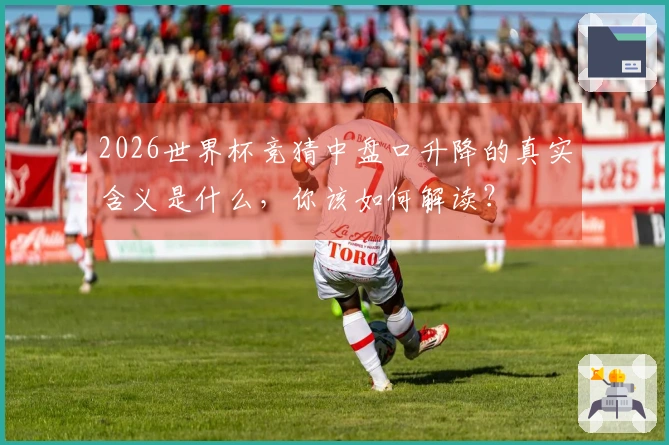 2026世界杯竞猜中盘口升降的真实含义是什么，你该如何解读？