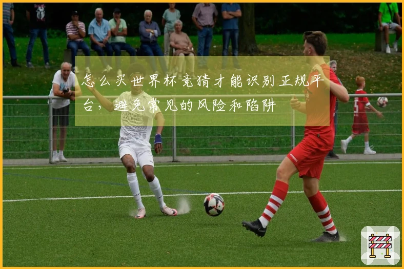 怎么买世界杯竞猜才能识别正规平台，避免常见的风险和陷阱