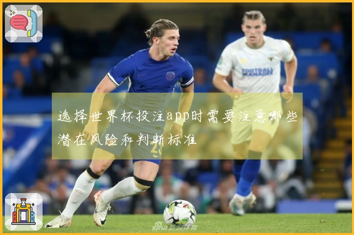 选择世界杯投注app时需要注意哪些潜在风险和判断标准
