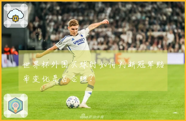 世界杯外围买球时如何判断冠军赔率变化是否合理？