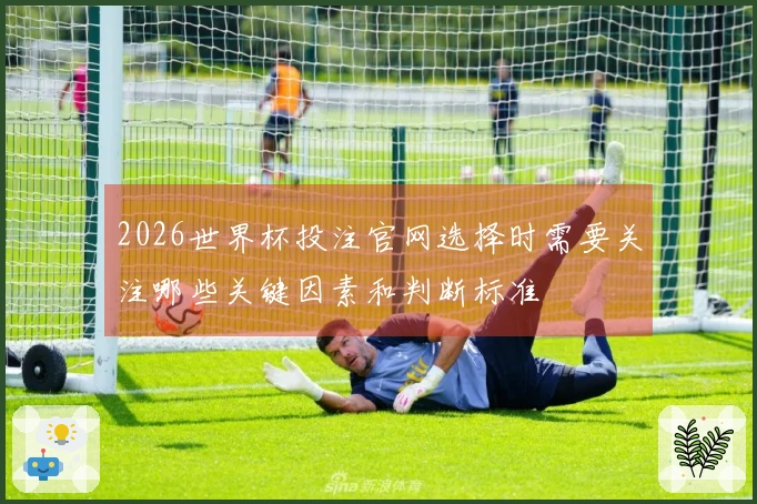 2026世界杯投注官网选择时需要关注哪些关键因素和判断标准