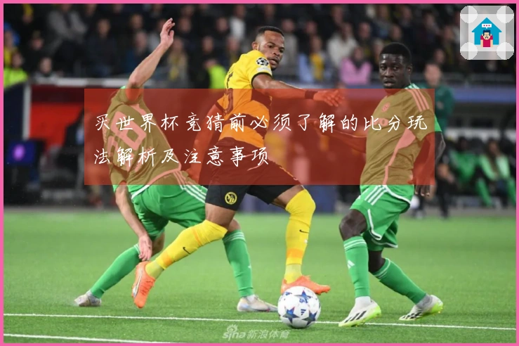 买世界杯竞猜前必须了解的比分玩法解析及注意事项