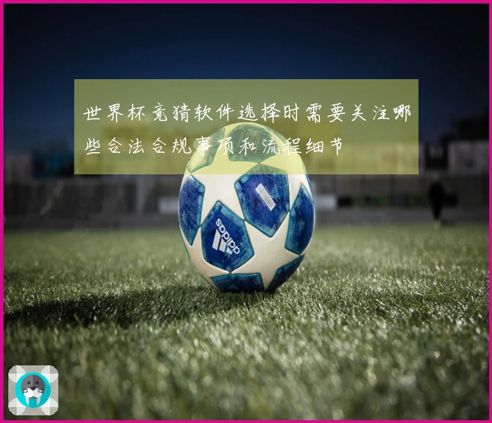 世界杯竞猜软件选择时需要关注哪些合法合规事项和流程细节