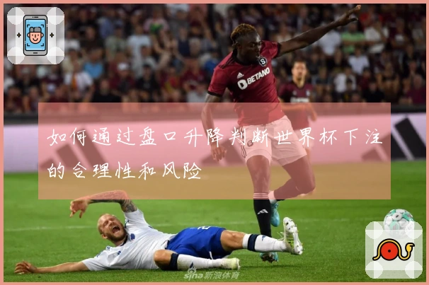如何通过盘口升降判断世界杯下注的合理性和风险