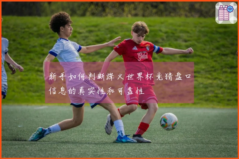 新手如何判断烽火世界杯竞猜盘口信息的真实性和可靠性