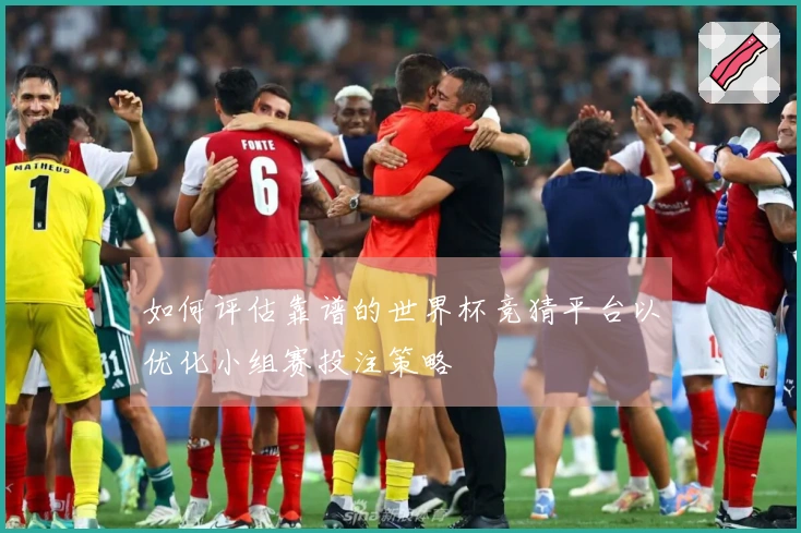 如何评估靠谱的世界杯竞猜平台以优化小组赛投注策略