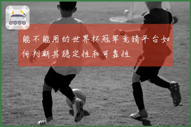 能不能用的世界杯冠军竞猜平台如何判断其稳定性和可靠性