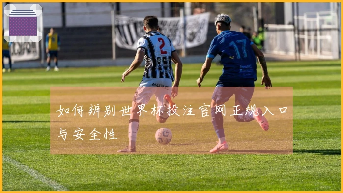 如何辨别世界杯投注官网正规入口与安全性