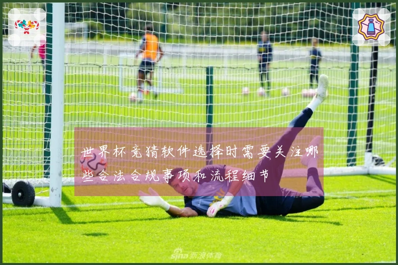 世界杯竞猜软件选择时需要关注哪些合法合规事项和流程细节