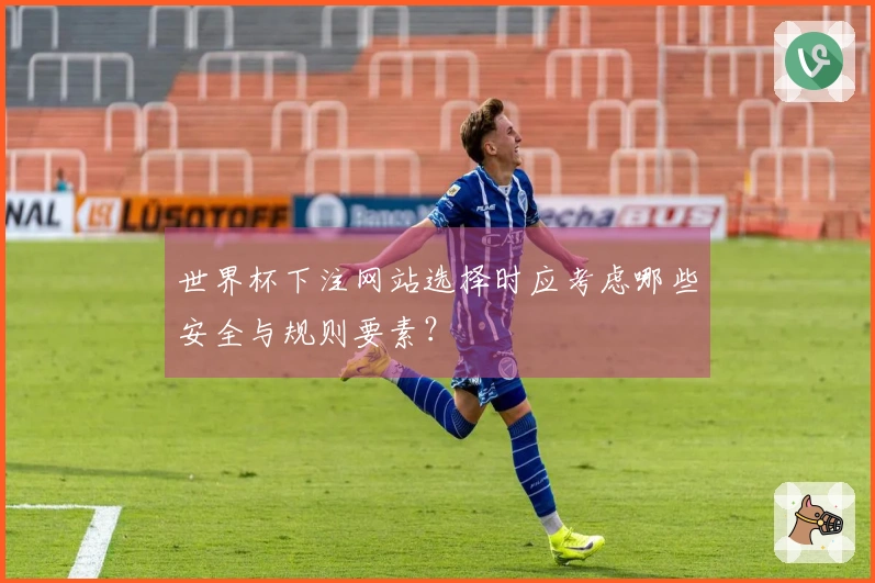 世界杯下注网站选择时应考虑哪些安全与规则要素？