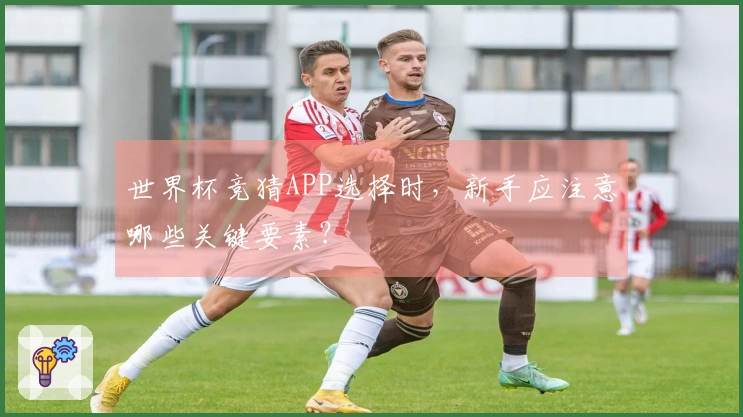 世界杯竞猜APP选择时,新手应注意哪些关键要素?