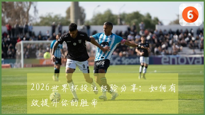 2026世界杯投注经验分享：如何有效提升你的胜率
