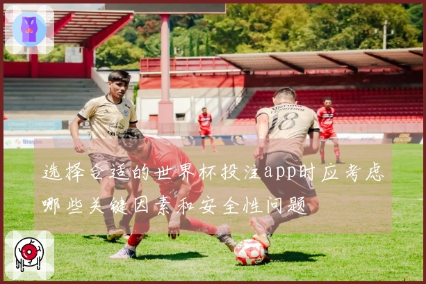 选择合适的世界杯投注app时应考虑哪些关键因素和安全性问题