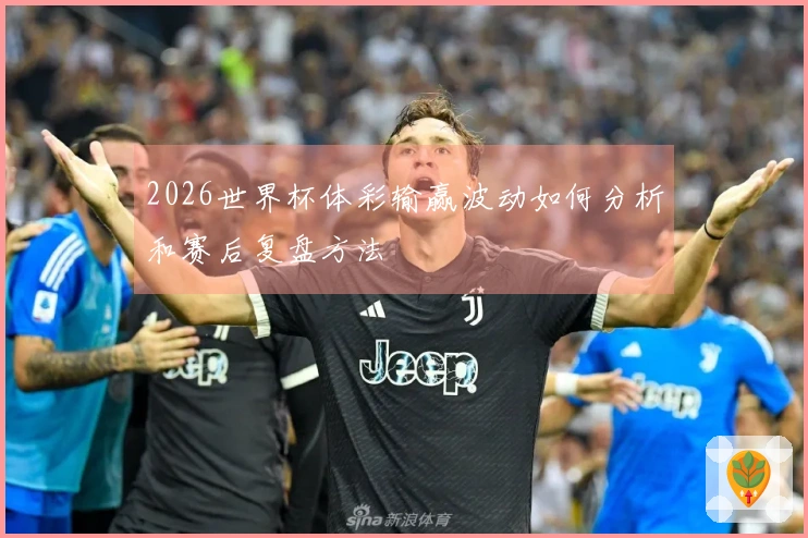 2026世界杯体彩输赢波动如何分析和赛后复盘方法