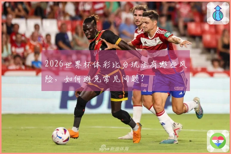 2026世界杯体彩比分玩法有哪些风险，如何避免常见问题？